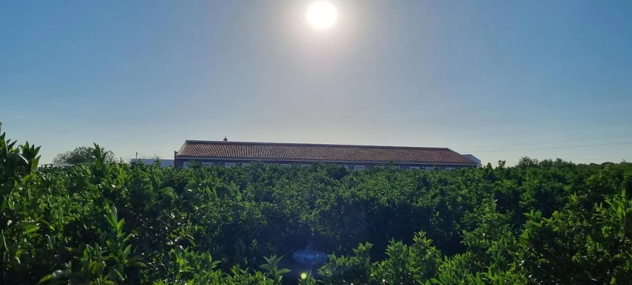 Quinta Dos I'S - Algarve Villa Ferrarias  Farm stay Ferrarias (Algoz)