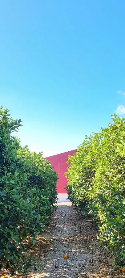 Villa Quinta Dos I'S - Algarve à Ferrarias  Ferrarias (Algoz)