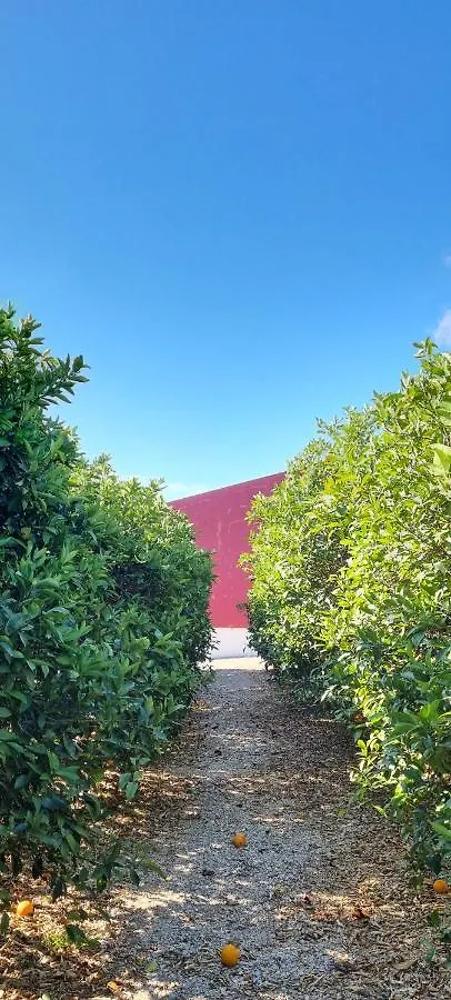 Villa Quinta Dos I'S - Algarve à Ferrarias  Séjour à la ferme